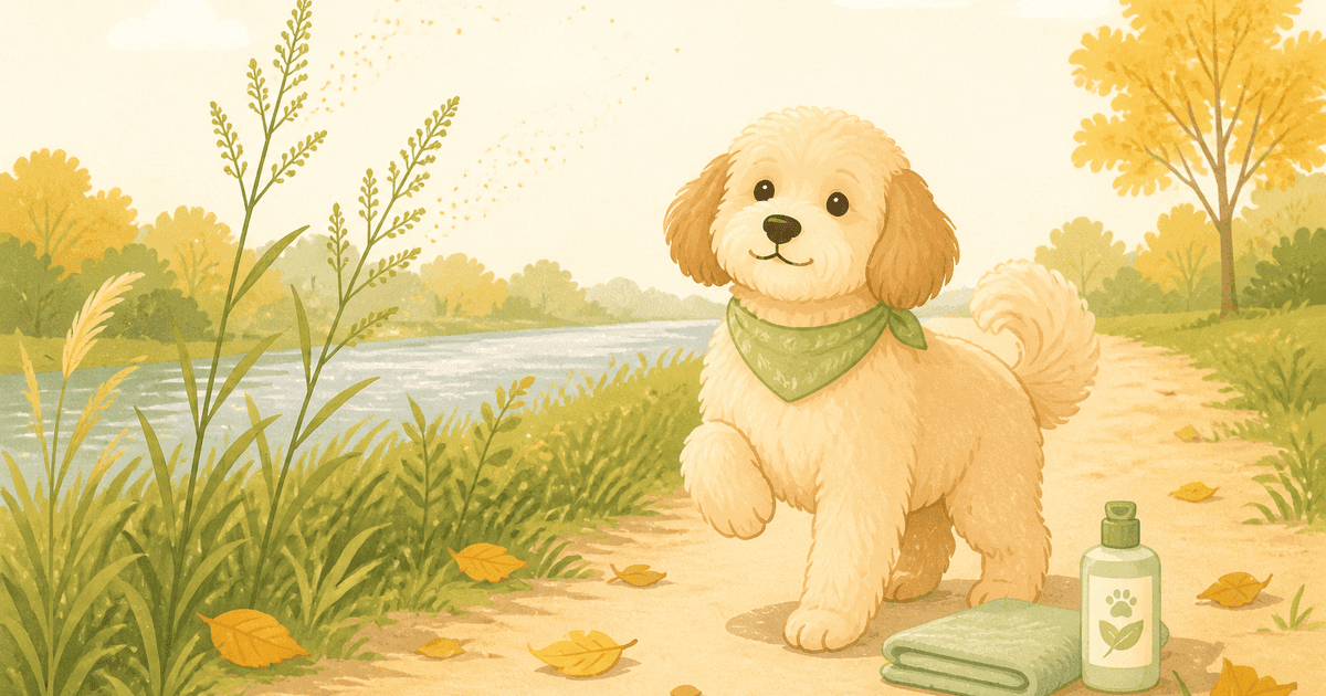 犬の秋の花粉・季節性アレルギー対策｜ブタクサの季節が来る前に整える散歩と室内